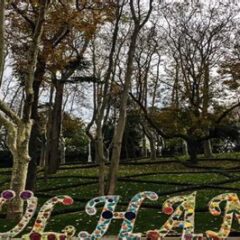 Ceviz Ağacı Şarkı Sözleri ve Hikayesi