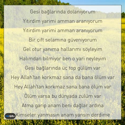 Gesi Bağları Şarkı Sözleri ve Hikayesi