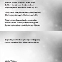 Hastane Önünde İncir Ağacı Şarkı Sözleri