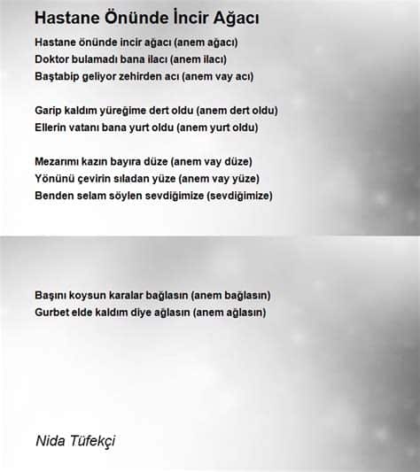 Hastane Önünde İncir Ağacı Şarkı Sözleri