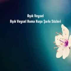 Huma Kuşu Şarkı Sözleri ve Hikayesi