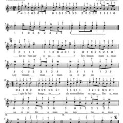 Sarı Gelin Şarkı Sözleri ve Hikayesi